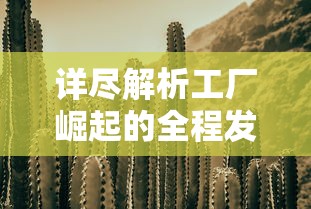 重塑英雄形象，揭秘合金突击之孤胆枪侠境界——游戏中的枪战策略和角色成长路径探析