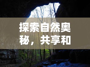 游戏出现问题？探讨小手电大派对为何频繁出现进场困难，及其可能的解决方案