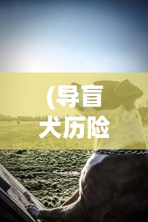 探寻桃源乡风情：揭秘桃源乡花笺摊营运模式与独特制作技艺的背后故事