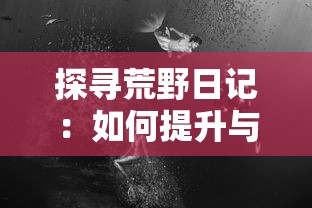 探探猫大作战手游：策略指南与战斗技巧全面解析，助力玩家顺利通关