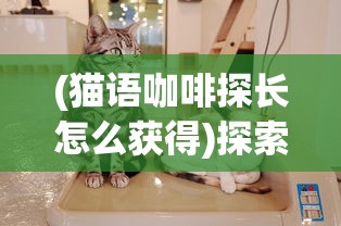 (猫语咖啡探长怎么获得)探索猫语咖啡app老版本的魅力：详细下载和安装教程指南