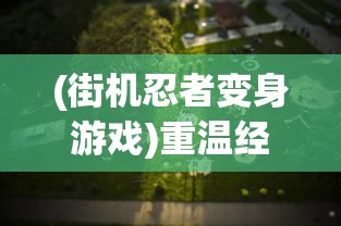 (街机忍者变身游戏)重温经典，再续传奇! 体验真实打斗乐趣的忍者降魔传街机之旅