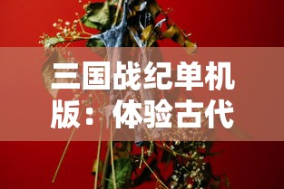 (回到三国志怎么玩不了)回到三国志关服之谜，多元视角下的分析与探讨