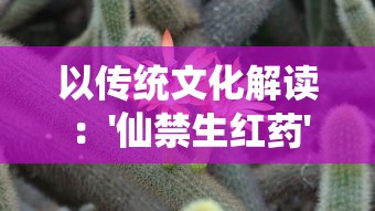 以传统文化解读：'仙禁生红药'中隐藏的生肖玄机——以古代诗词为线索探寻中国古老传统生肖文化的奥秘