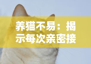 (纹章召唤最新版下载)纹章召唤游戏探秘：硬核策略与神秘契约的完美融合