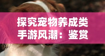 探究宠物养成类手游风潮：鉴赏2021年宠物养成类手游排行榜顶尖佳作