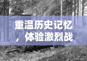 探索科技新前沿，揭秘日新月异的遥控无人机技术——全面解读曙光先锋官方网站