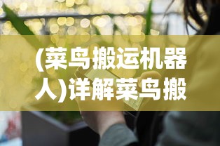 新樱花大战设定全解析：探讨其背后的科技与历史元素融合如何塑造未来世界