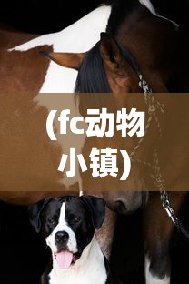 (无限贝拉破解内购版大全)无限贝拉GM版，新版本带来的变革与展望