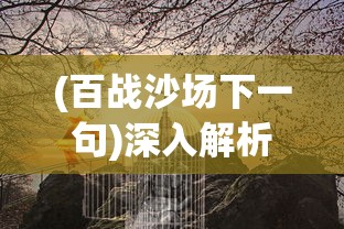 (百战沙场下一句)深入解析成语'百战沙场'的含义及其在现代社会中的应用场景