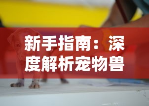 新手指南：深度解析宠物兽争斗核心玩法与最佳攻略，帮助玩家快速提升实力及游戏体验