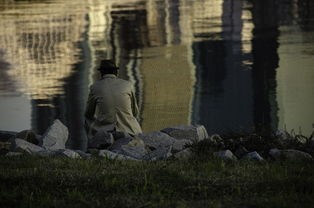 (诺亚被打死)诺亚之死，多元视角下的探讨与分析