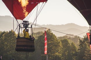 (斗魂大陆欧思客的武魂是什么)斗魂大陆欧思客的武魂，探秘与解析