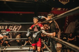 (暗黑之镰手游官网礼包码大全)暗黑之镰手游深度解析，特色、玩法与常见问答