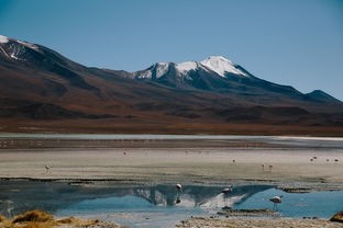 (电脑桌面壁纸全屏风景 海边)探索电脑桌面壁纸全屏风景的魅力与价值