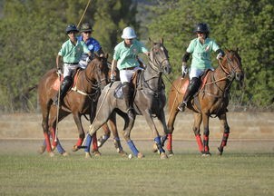 (骑士与马益智游戏)骑马与施法，游戏内免广告补充内容的多元分析