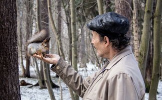 (忍者意志停服了吗最新消息)忍者意志停服了吗？——深度解析与常见问答