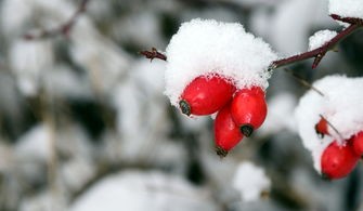 (三国人生模拟1.13破解)三国人生模拟，折相思是一款深受玩家喜爱的策略模拟游戏，它以三国时期为背景，让玩家在游戏中扮演一位角色，通过策略、智谋和人际关系来影响历史进程。以下是对这款游戏的深入分析，包括其特色、玩法、常见问题解答以及相关参考文献。