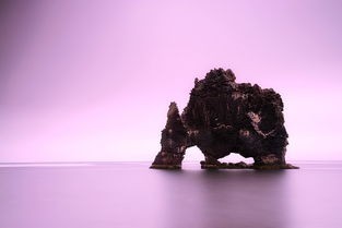 (苍茫之境美得纯净什么意思)苍茫之境，纯净之美引发的多元思考