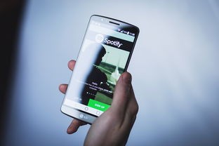(梦幻宠物联盟无限钻石)梦幻宠物联盟，内购补充内容深度解析