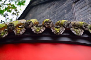 (永恒之塔2)永恒之塔，探索虚拟世界的奥秘