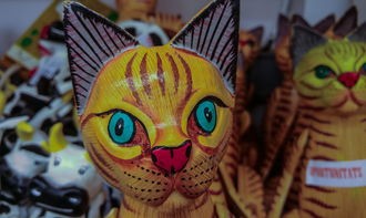 (会玩拆弹猫牌分别有几张)拆弹猫牌，揭秘这款游戏背后的故事与玩法