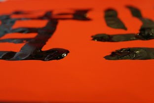 (盛世芳华官方微博最新消息)盛世芳华，一部展现中国传统文化与现代生活交融的影视作品