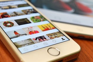 (家园攻防战APP)家园攻防战APP，智能家园守护者的新伙伴