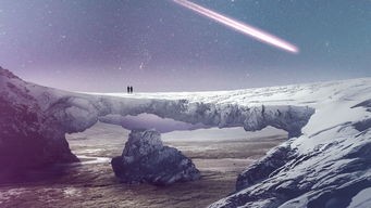 (上海海昌海洋公园攻略)海昌海洋公园攻略，探索海洋奇观，畅享欢乐时光