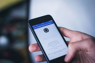 (洪潮之焰手机版下载)洪潮之焰iOS版本更新解析，新功能、优化与挑战