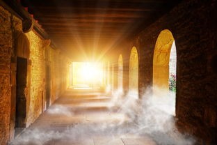 (掠影什么时候恢复记忆)掠影纷争，揭秘游戏开发公司背后的故事与挑战