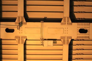 (头铁主公h5)头铁主公2024年最新动态，多元化发展引领行业新趋势