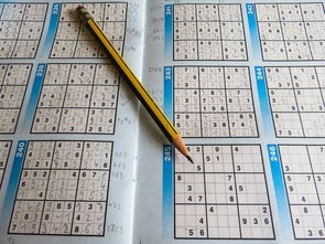 (武义九州内置菜单版)武义九州内置菜单，深度解析与常见问题解答