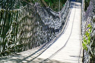 (挨饿荒野泰国丛林攻略甲鱼)泰国丛林探险，挨饿荒野生存攻略全解析