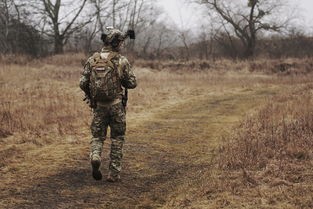 (巨兽战场红兵前置条件图)巨兽战场红兵前置条件解析与前瞻