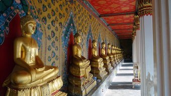 (帝王时代木子禾全文在线阅读)帝王时代木子禾，一部揭示古代宫廷生活的小说