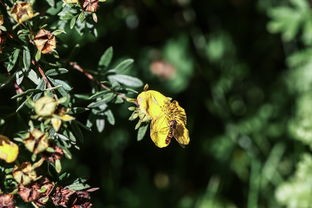 (四季物语 季节传说)季节物语，一场穿越四季的心灵之旅