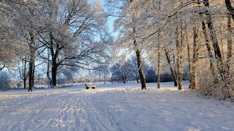 (南通冰雪乐园在哪里)冰雪乐园，冬日里的冰雪奇缘