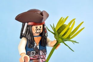 (海贼王热血航线橘子营救海盗船长)航海王热血航线橘子镇营救船长，一场充满挑战的冒险之旅